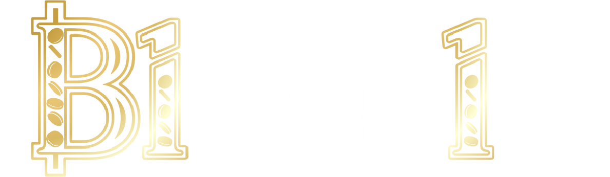 B1Bahis logo