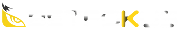 Betfokus logo