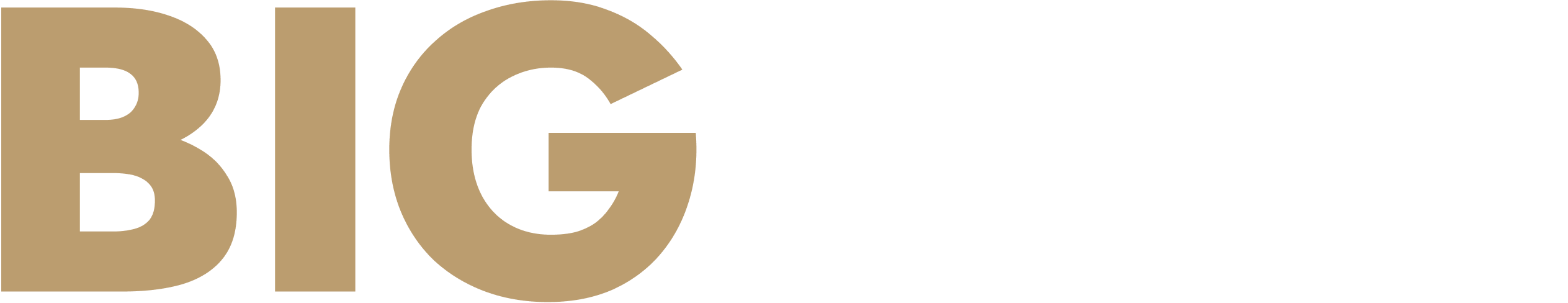 Bigbro logo