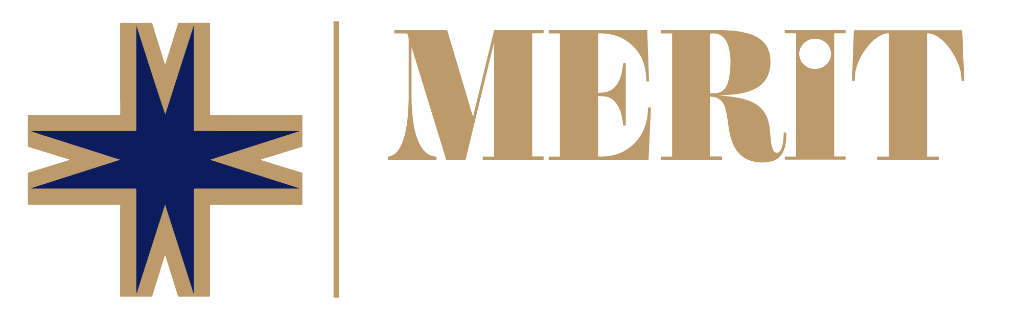 Meritpremium logo